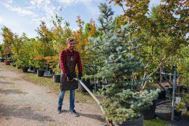 Best Lot and Land Clearing  in Dane, WI